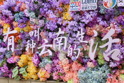 全网曝光超10亿次，蓝花楹这场“花事”爆了！
