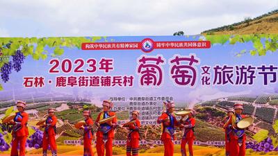 2023年石林·鹿阜街道铺兵村首届葡萄文化旅游节举办