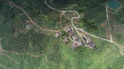 让云南的好水果换一种方式走出大山 云南特色林果资源挖掘及开发利用专家论坛在玉溪举行