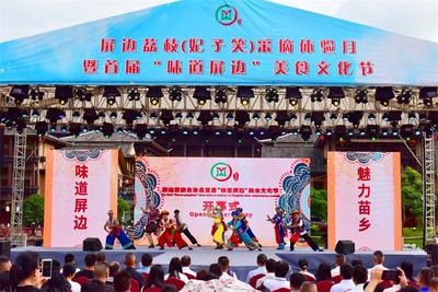 首届“味道屏边”美食文化节开幕