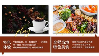 有一种叫云南的生活丨体验一次“熊猫咖咖”普洱咖啡庄园醉美之旅