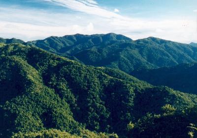 在“最云南”的地方，读懂生活