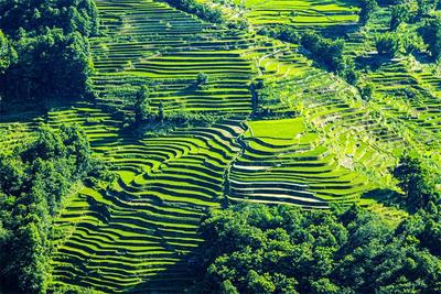 这个端午，来红河不可错过的风景