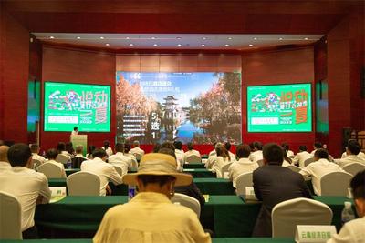 悦动一夏 趣游云南丨华侨城云南区域“夏日云游季”启幕