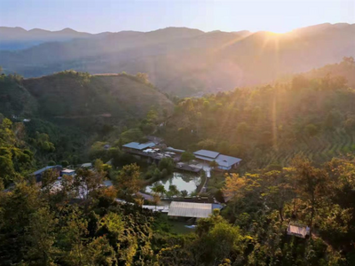 “粽”享一夏，乐游普洱丨普洱这些精品咖啡庄园，邀你来过咖香四溢的端午！