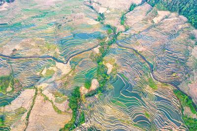 去红河做生活家丨与其向往，不如出发