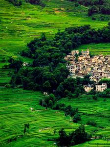 美图来袭！带你饱览红河夏日风光