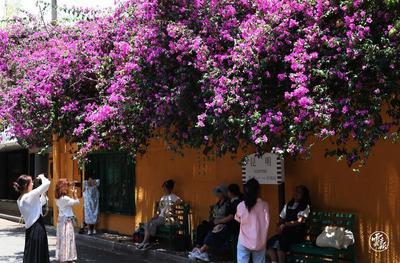 美！昆明翠湖新增一条网红打卡街巷