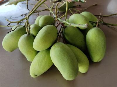 吃得“烧嘴巴”！炎炎夏日就想尝尝这一味酸辣