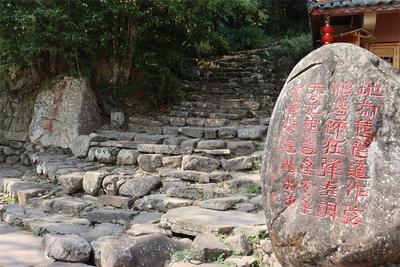 “粽”享一夏，乐游普洱丨好看、好吃又好玩，来宁洱县同心镇开启“粽”情之旅！