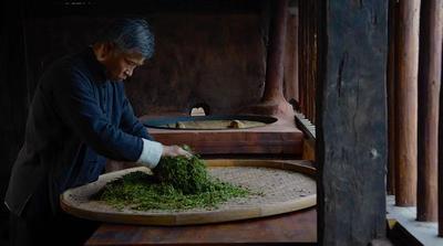 2023年“文化和自然遗产日”来临，普洱市各县（区）精彩活动“抢先看”！