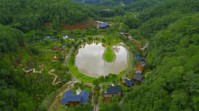 听云南 | 在亚太森林组织普洱基地 投入大自然的怀抱