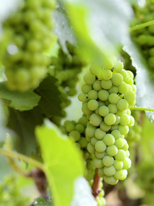 美图来袭！带你饱览红河夏日风光