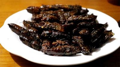 有一种叫云南的生活丨捉知了！嘎嘣脆！这才是夏天的正确打开方式