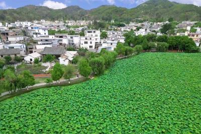 在盛夏的建水“躲阴凉”
