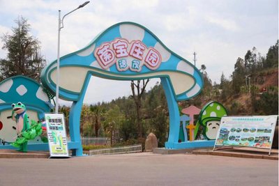 来“菌宝庄园”体验摘菌 感受南华人民的热情好客  