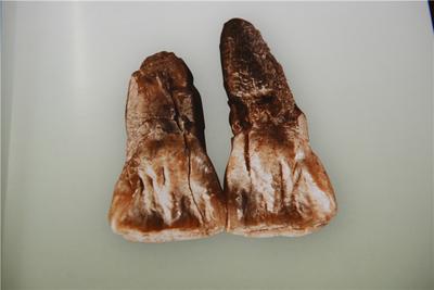 文化厚土，诗意元谋