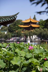 听云南 | 伴着凉风荷香 赏大观楼美景