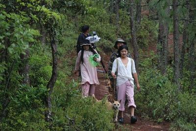 多彩暑期 乐游玉溪｜说走就走，到易门来一场拾菌之旅