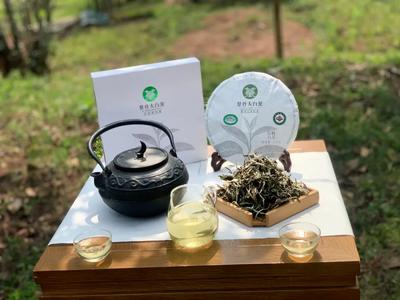乐享云南 | 好礼·景谷秧塔大白茶