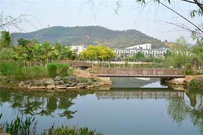 多彩暑期，“趣”游普洱丨宁洱“左手咖啡右手茶”寻味之旅好吃、好玩又好在！