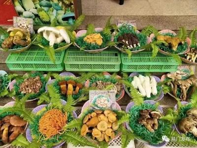 多彩暑期 乐游玉溪｜第十九届中国·云南野生食用菌交易会系列活动精彩纷呈