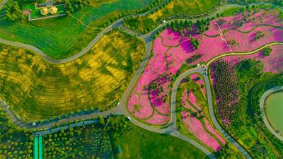 到红河，寻一方清凉