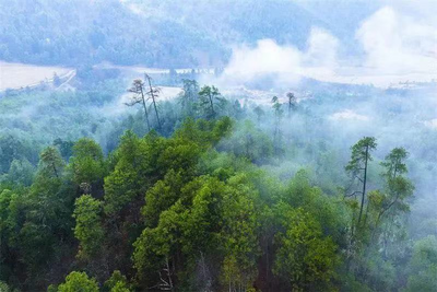 有一种生活叫云南的怒江丨来怒江体验“醉氧”和低碳的双重快乐