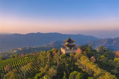 相约夏日中华普洱茶博览苑，遇见更加惊喜的普洱茶之旅！
