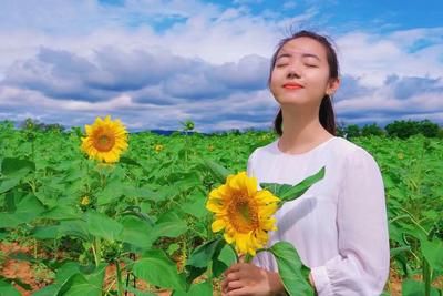 多彩暑期 乐游玉溪丨来星云湖畔遇见不一样的夏天