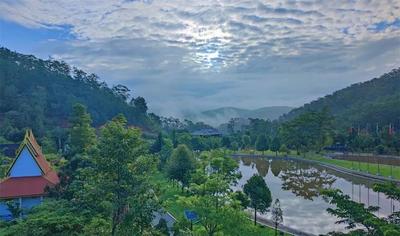 听云南 | 在亚太森林组织普洱基地 投入大自然的怀抱