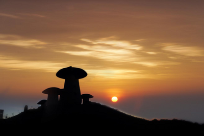 乐享云南｜美景·师宗菌子山