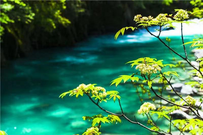 有一种生活叫云南的怒江丨逃离喧嚣 来怒江安放心灵的N个理由