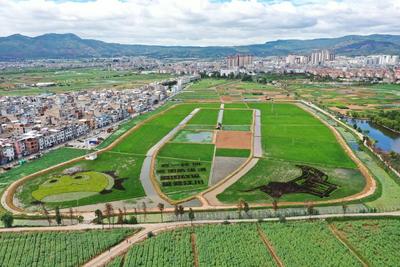 多彩暑期 乐游玉溪丨来星云湖畔遇见不一样的夏天