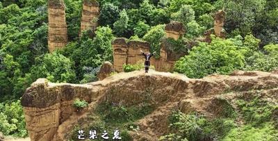 芒果之夏，我们在临沧永德等您！