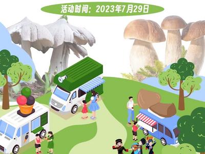 29日！去同德昆明广场赶南华“伞伞”狂欢派对