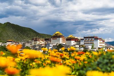 有一种叫云南的生活 | 避暑游、品山珍，香格里拉就是不二选择！