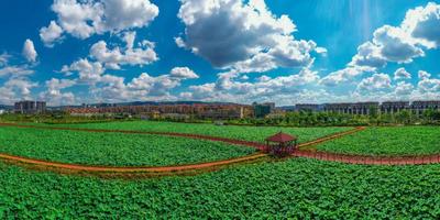 多彩暑期 乐游玉溪丨来星云湖畔遇见不一样的夏天