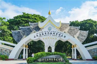 听云南 | 西双版纳热带花卉园 走进“奇花异树”的世界