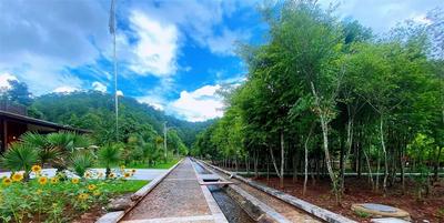 听云南 | 在亚太森林组织普洱基地 投入大自然的怀抱
