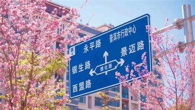 住花园、采“蘑菇”、吃鲜花……谁还不是一个“小精灵”呢？