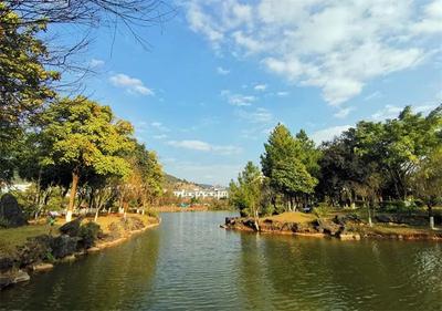 多彩暑期，“趣”游普洱丨宁洱“左手咖啡右手茶”寻味之旅好吃、好玩又好在！