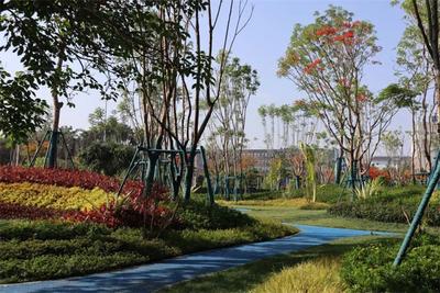 推窗见绿，出门进园！“口袋公园”扮靓多彩茶城