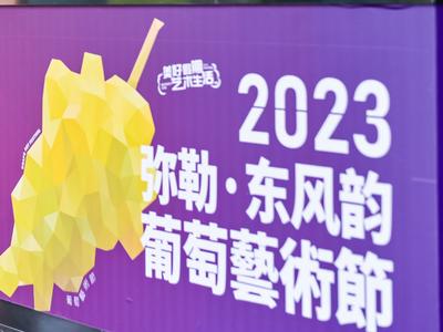 图集丨2023年葡萄文化节在弥勒开幕