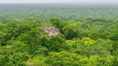 考古学家在墨西哥发现新的玛雅遗迹