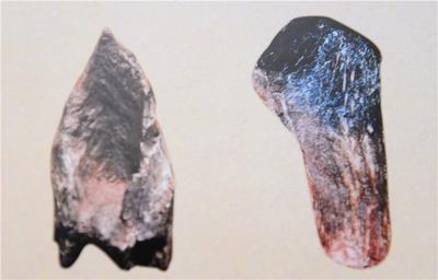 文化厚土，诗意元谋