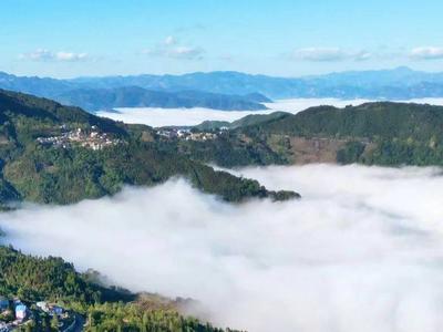 来“森林县城”，玩转热闹屏边