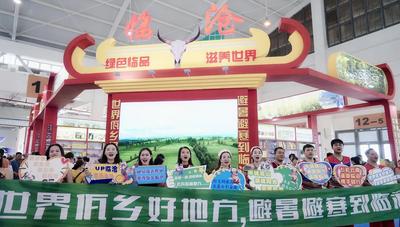 ​​民族歌舞快闪展演 亮爆南博会临沧展区