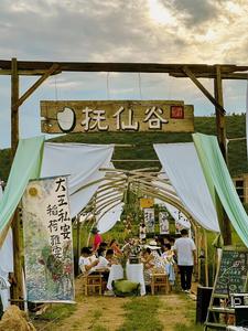 休闲玉溪 纯净之地｜邂逅一场风雅稻荷晚宴，告别夏日
