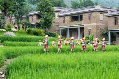 玉溪旅游“一卡通”丨从原始森林到哀牢山，开启清新吸氧之旅！